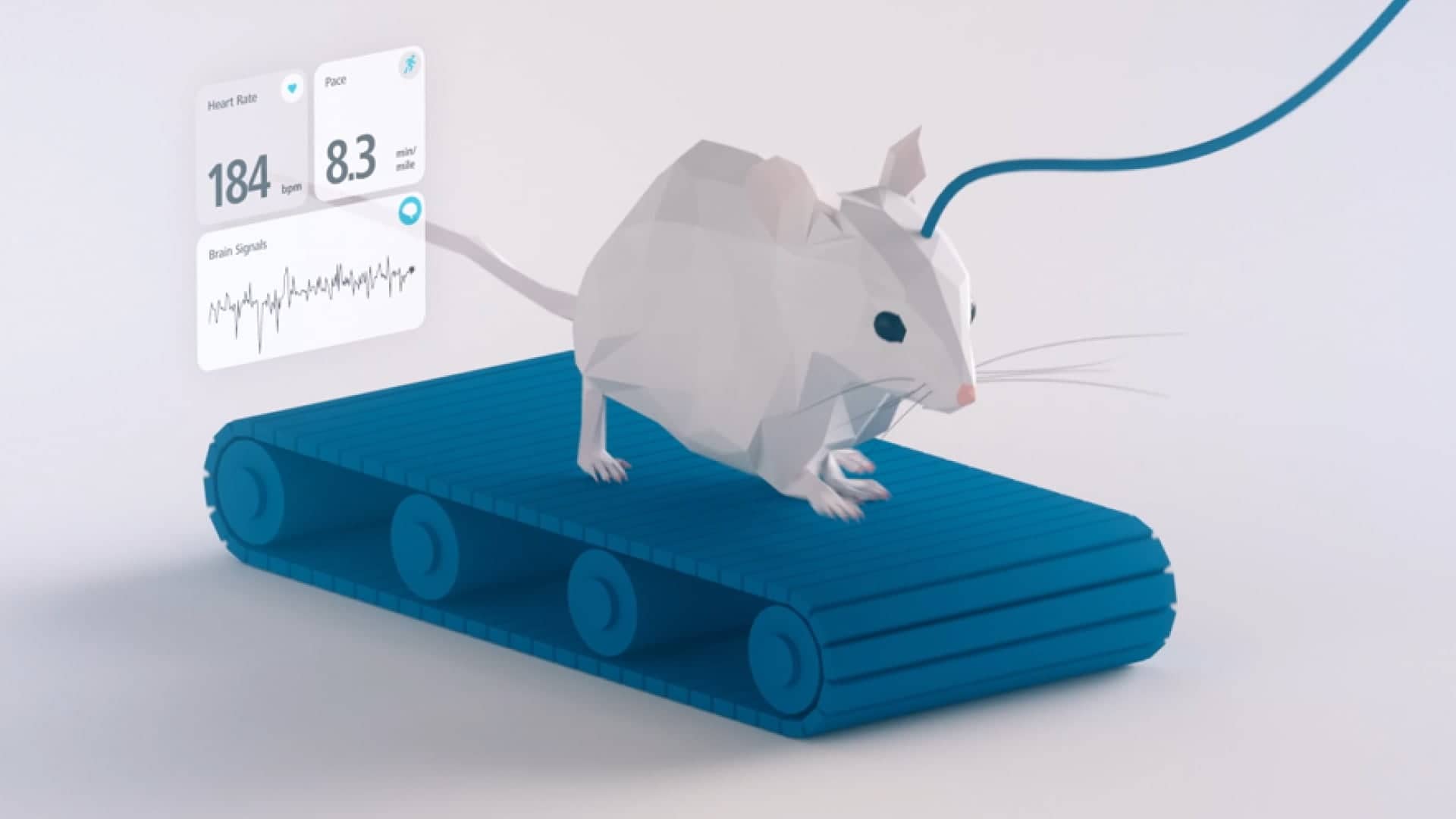 A 3D-rendered mouse on a treadmill with data visualization showing heart rate, pace, and brain signals.